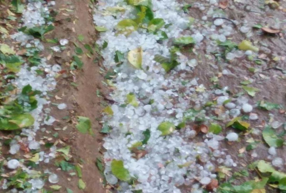 Uttar Pradesh witnessed extremely good rains