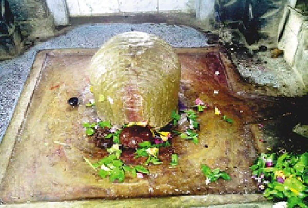 maha shivaratri special report on this temple