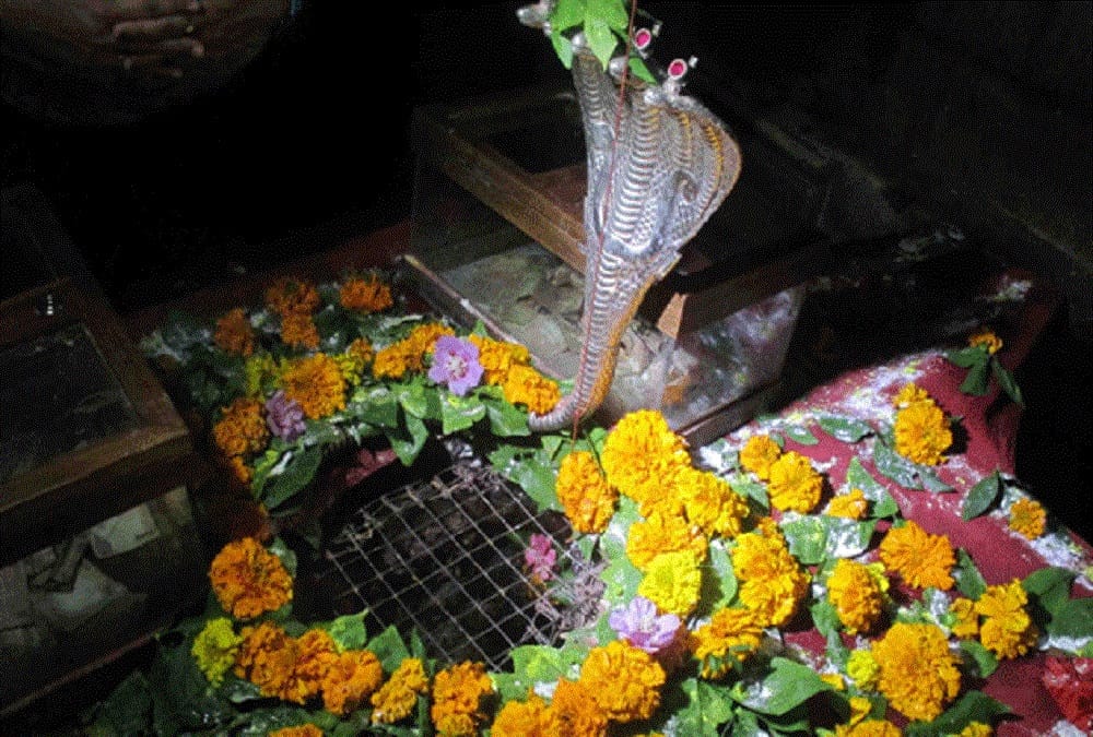 maha shivaratri 2018 rajasthan udaipur a lord shiva temple attract pilgrim most