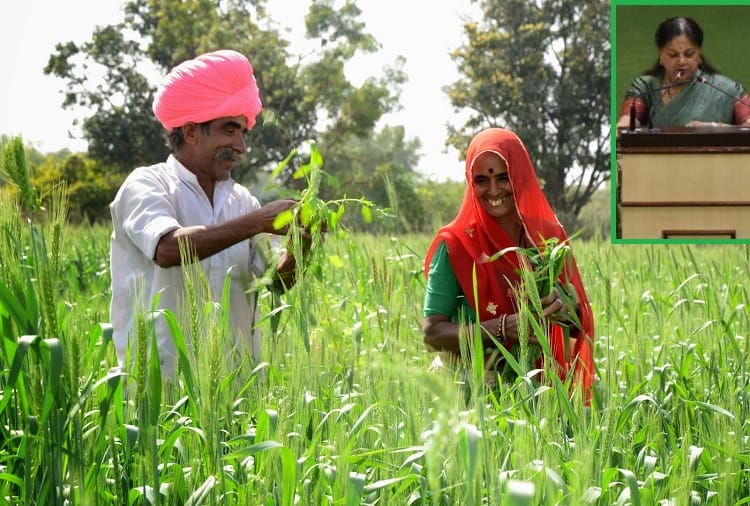 rajasthan jaipur raje government budget- Announcements for Relief to Farmers