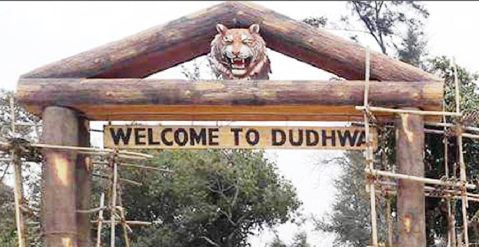 UP Tourism gears up to make Dudhwa tourist attraction
