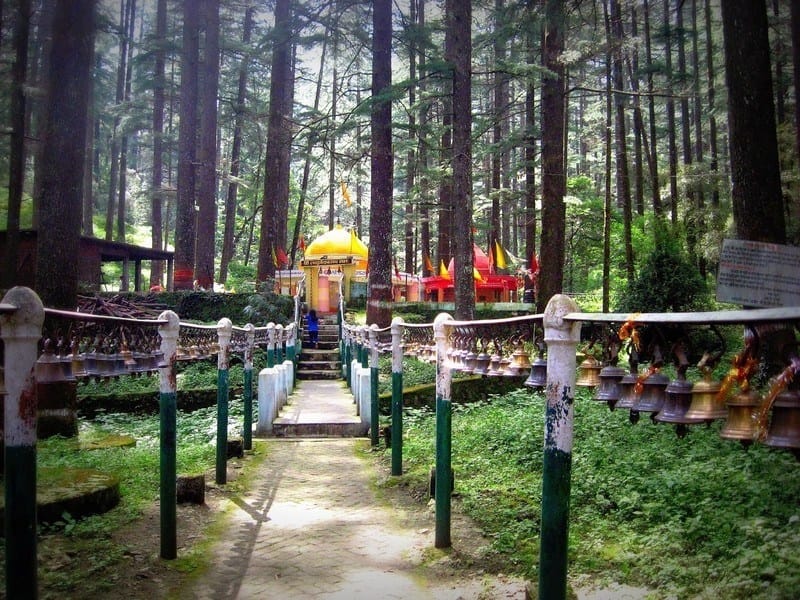 Mahashivratri 2018 Parvati took the form of trees