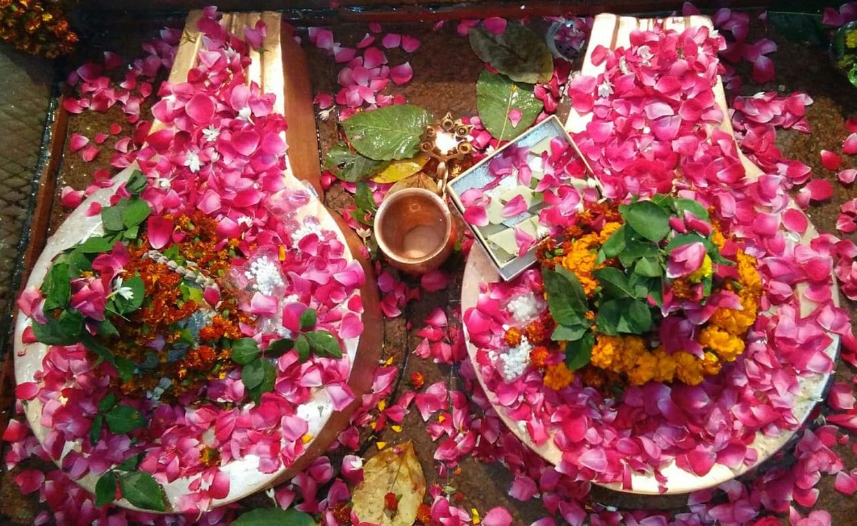 Mahashivratri 2021 Reason behind why Ketaki flower and tulsi is not offered to Lord Shiva