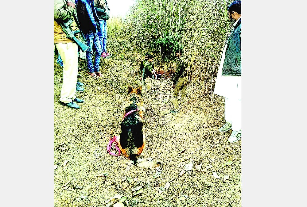 A girl murdered in sultanpur.