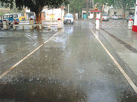 With the rain, the hailstorm boosts the farmers' perennials