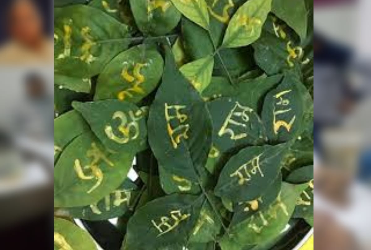 maha shivaratri 2018: offer this type of bel patra to lord shiva and recite this mantra for good