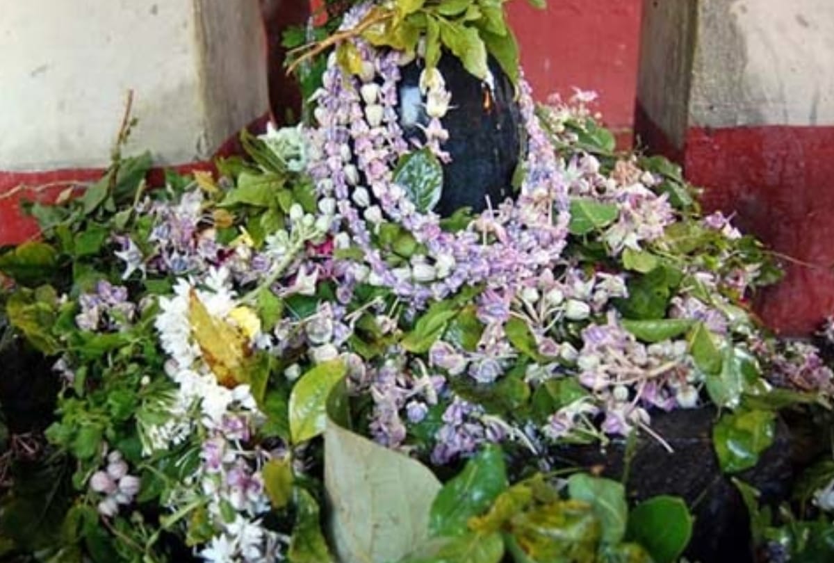 Maha shivaratri 2019 lord shiva puja according to zodiac sign in rare coincidence 