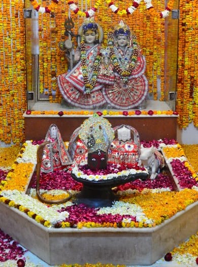 Devotees gears up for celebrating Mahashivratri