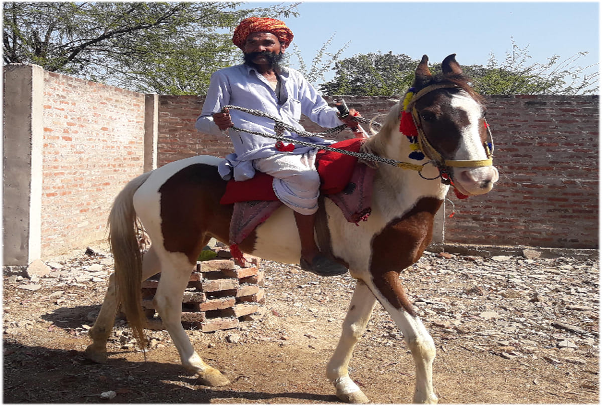 there is no pollution on horse riding