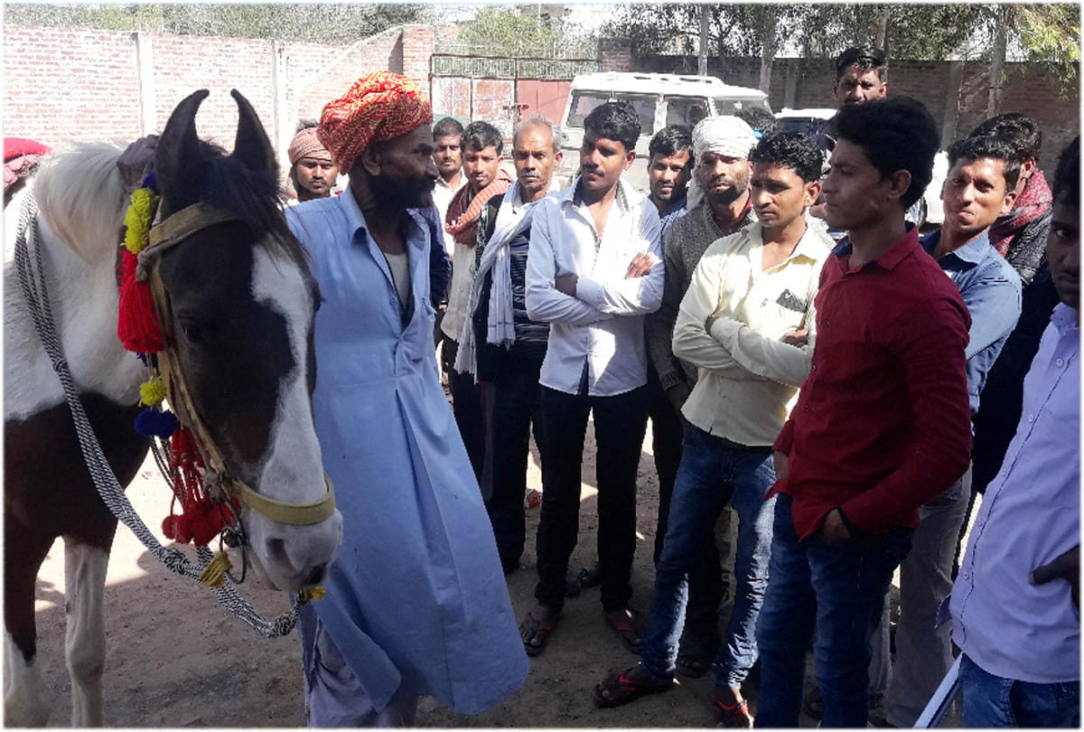there is no pollution on horse riding