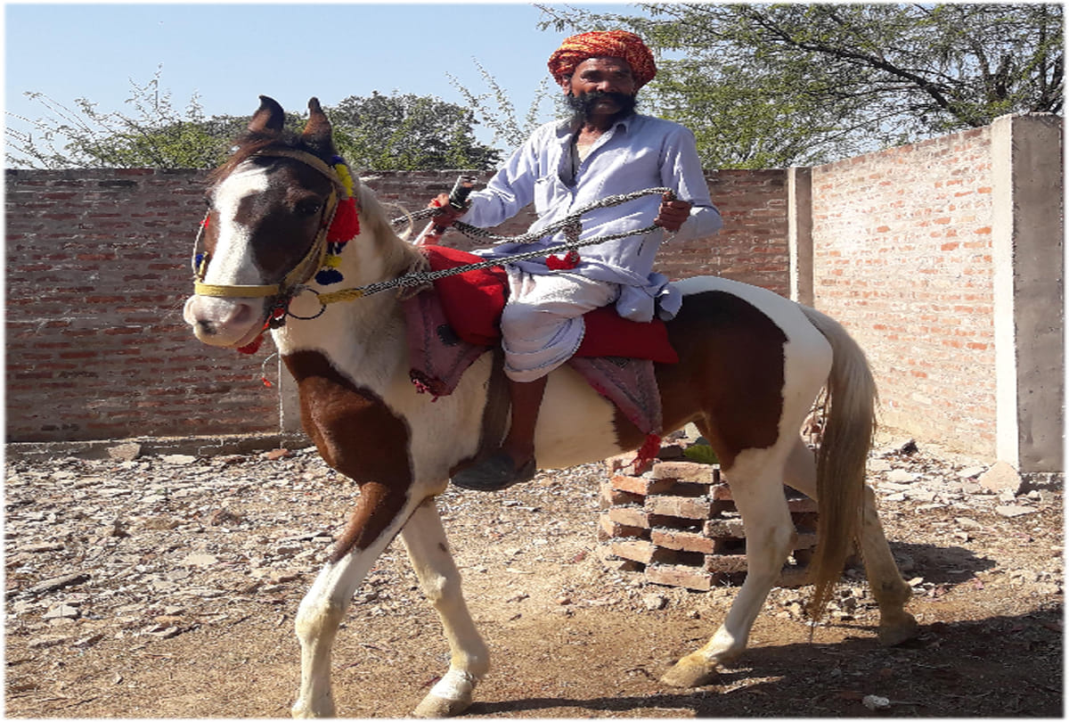 there is no pollution on horse riding