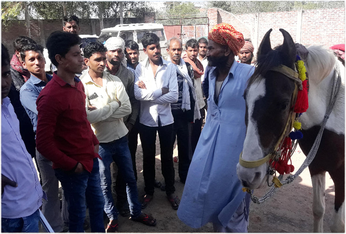 there is no pollution on horse riding