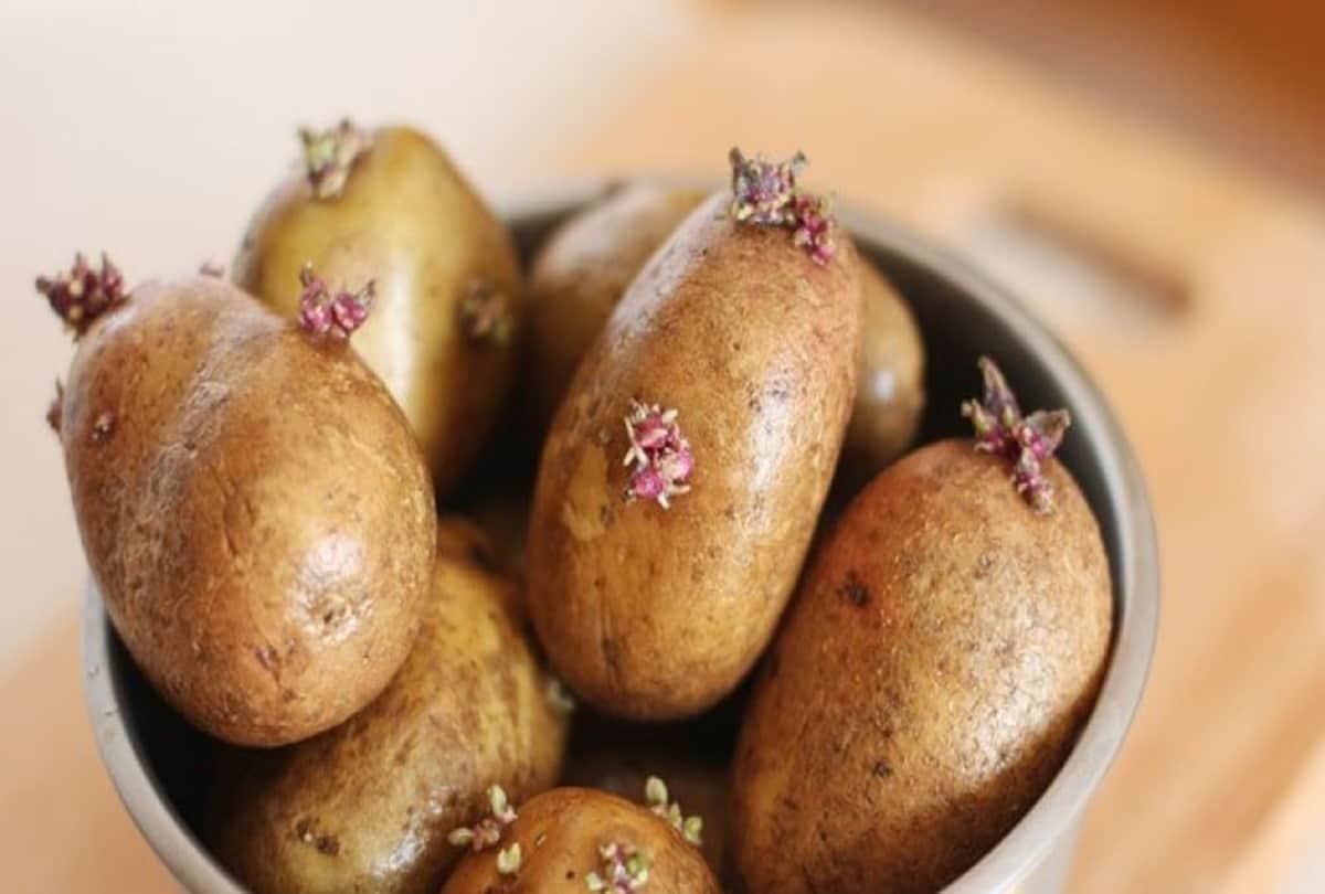 How the Humble Potato Change The World a Historical Story vitamins and nutrients in Potatoes