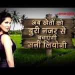 Andhra Farmer Puts Up Sunny Leone Poster to Protect Crops From Evil Eye