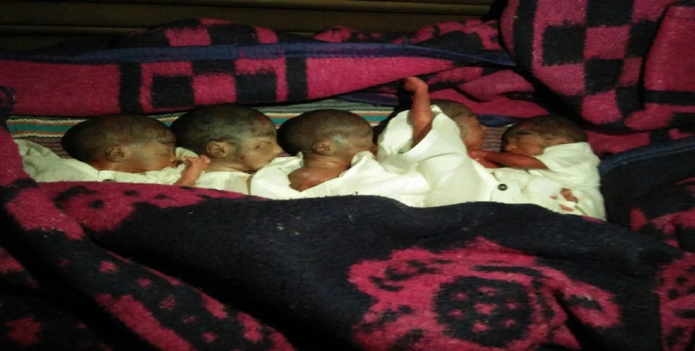 The woman gave birth to five daughters together, crowd of viewers
