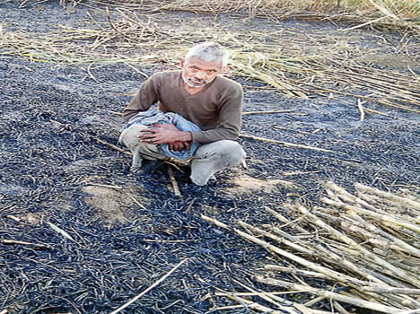 Four bigha sugarcane crop fire