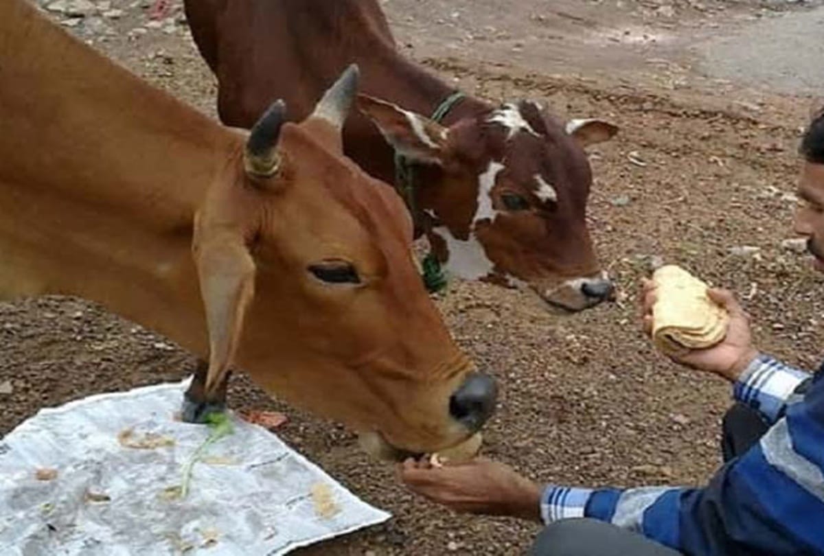 Empiricism use jaggery to solve all your problems
