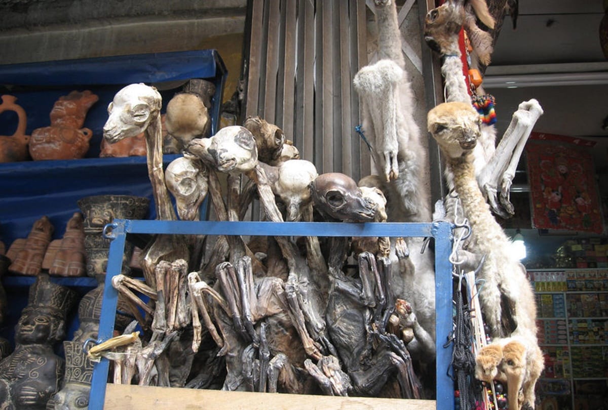 Worlds biggest Witchcraft market in America 