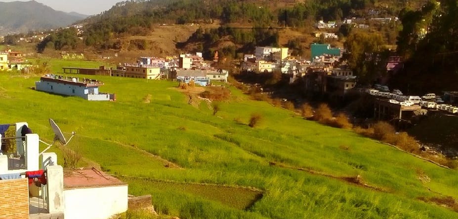 katyur valleys goes green, farmers faces brightens