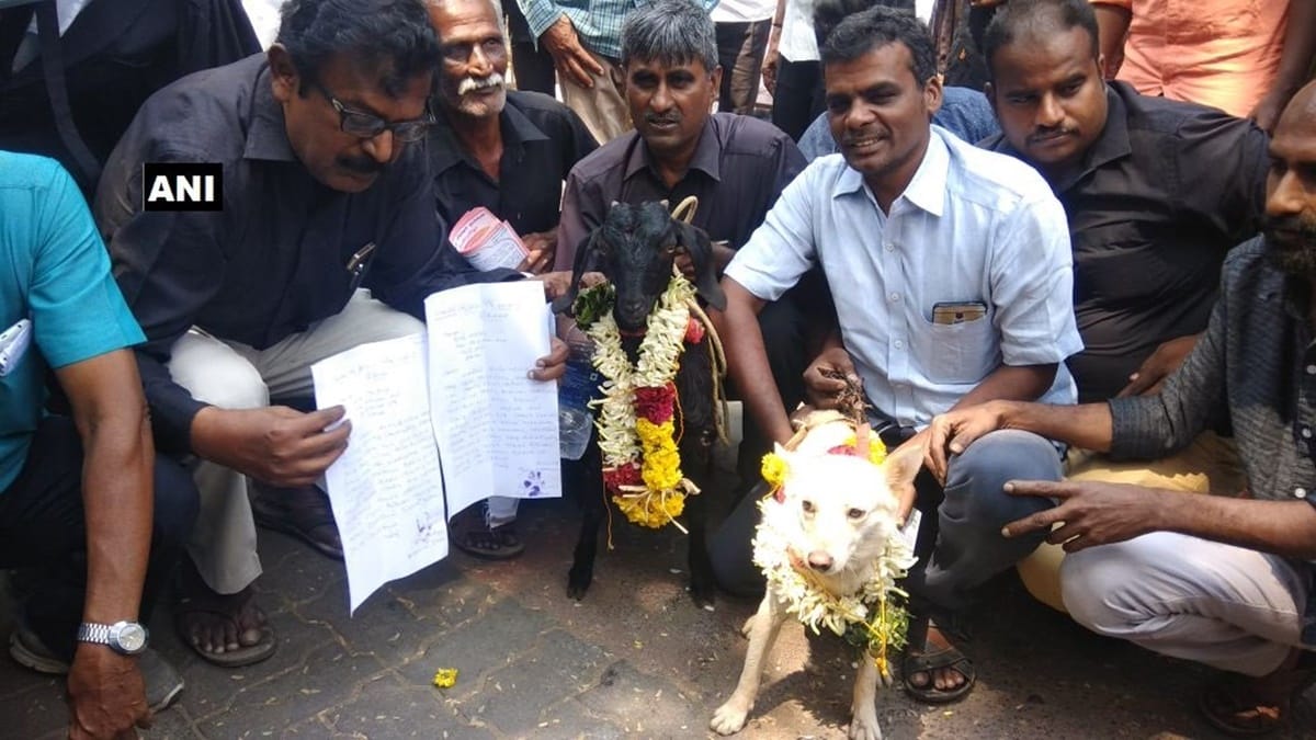 TPDK files petition in family court seeking divorce between dog and goat