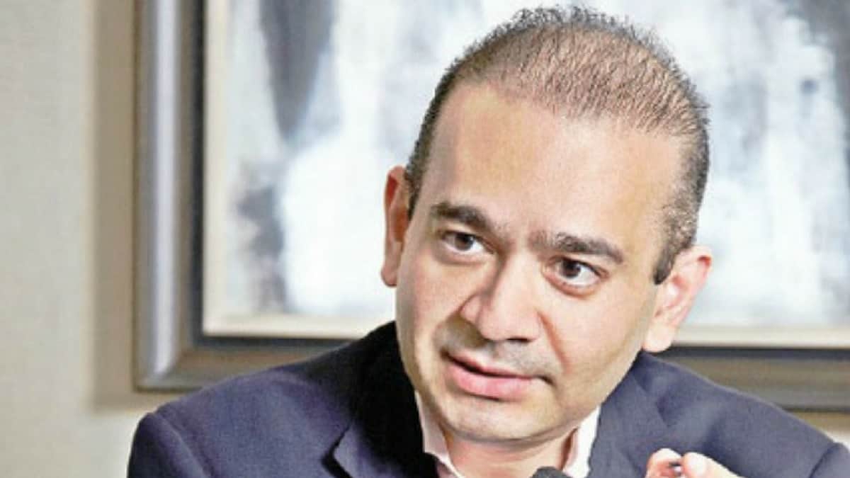 nirav modi pnb scam 11400 crore celebrity connection