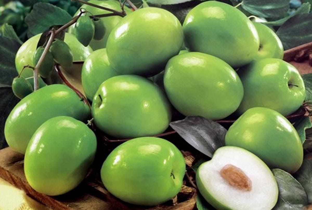 pregnant women want to eat Jujube