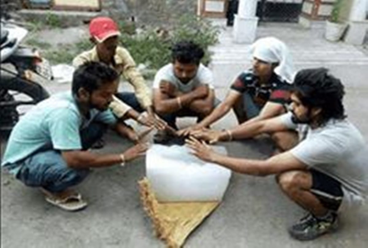 These are the biggest gamblers see in this strange pictures  