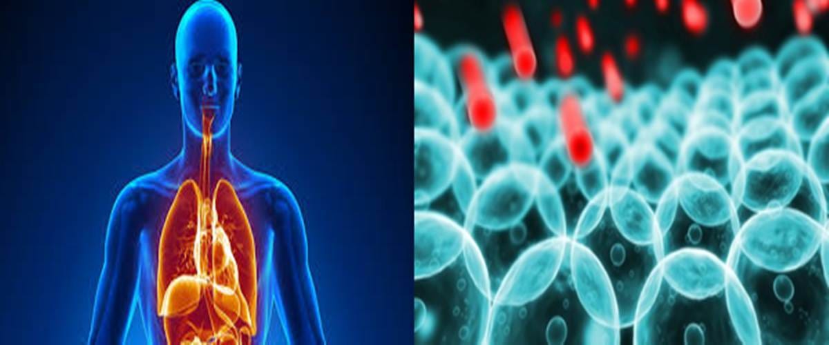 Know about free radicals, who save our body from heart problems and cancer