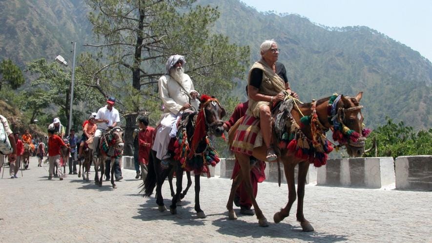vaisho devi and amarnath pilgrimage animals suffering from glanders disease