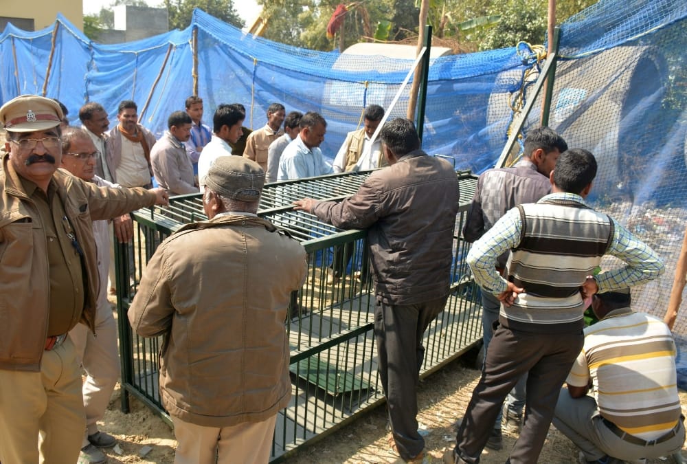 army, metro and LDA team is also rescuing to catch leopard 