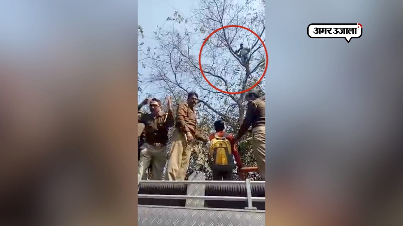 लखनऊ 