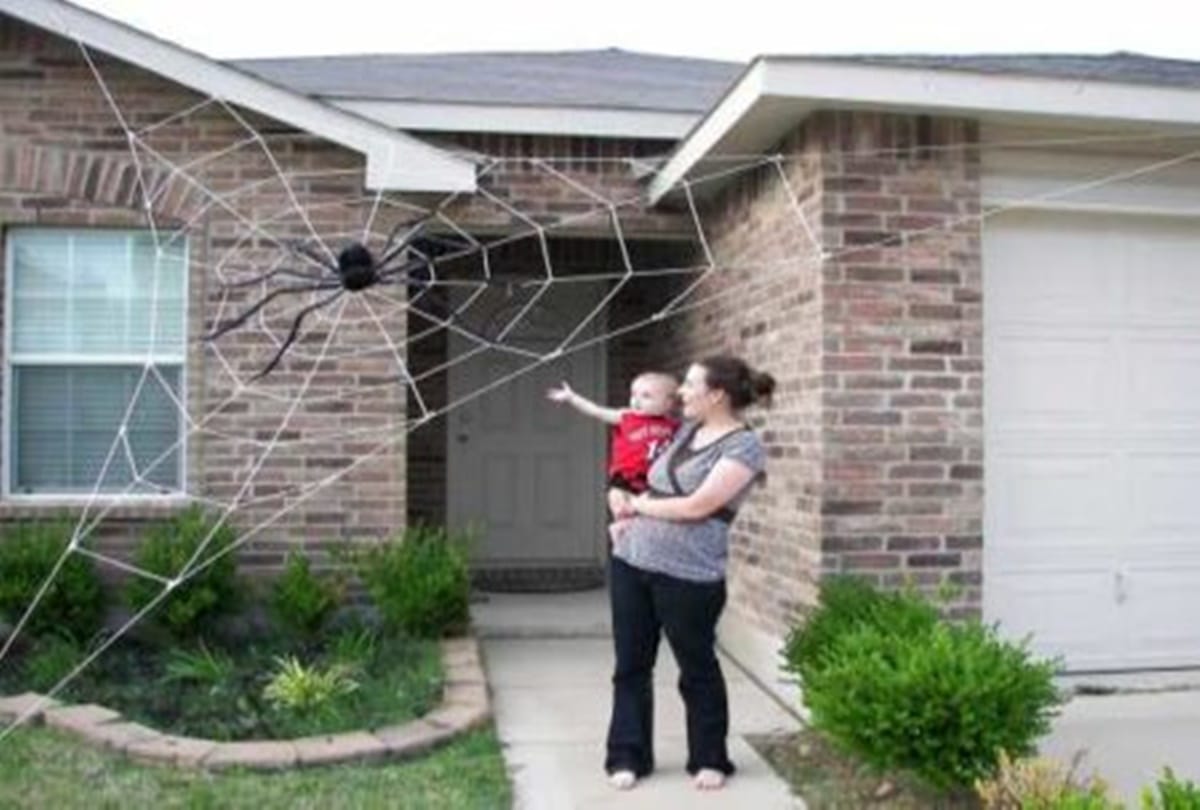 according to vastu shastra spider webs bring bad luck in home