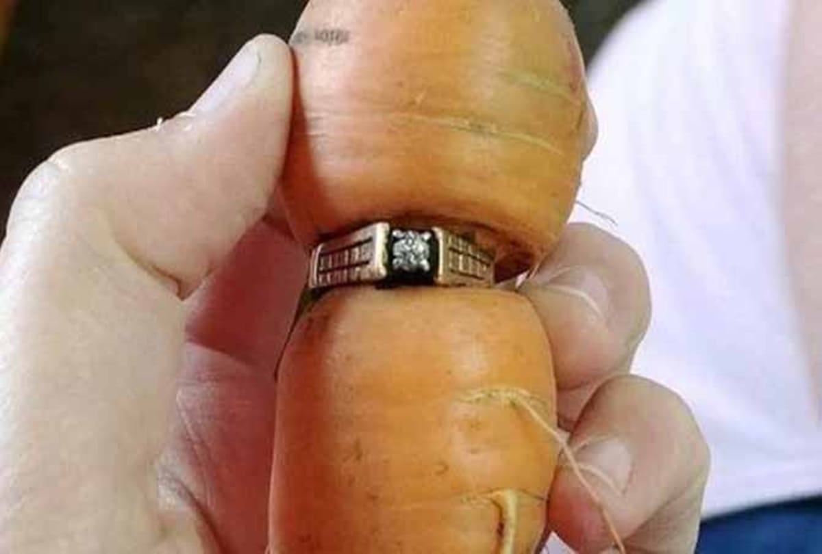The lost ring found after thirteen years in a carrot