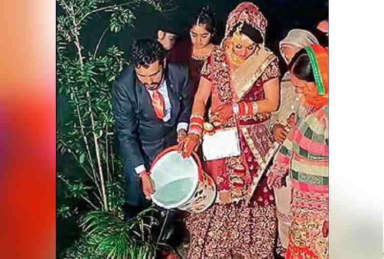 unique marriage of punjab village sarpanch, bride planted tree