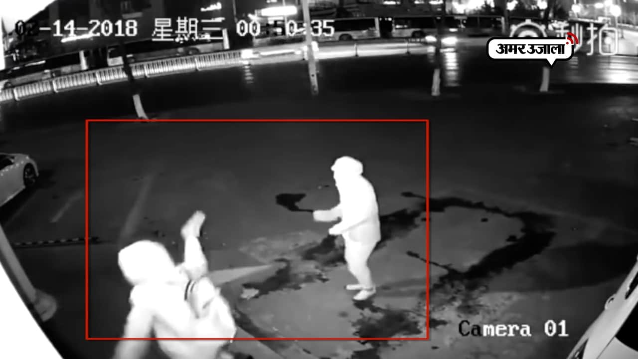 वायरल वीडियो 