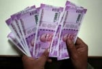 डेमो पिक