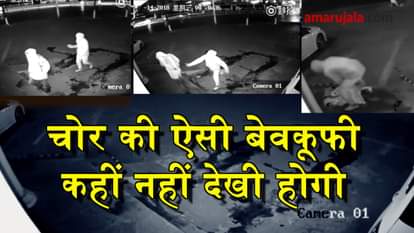 funny thieves in china 