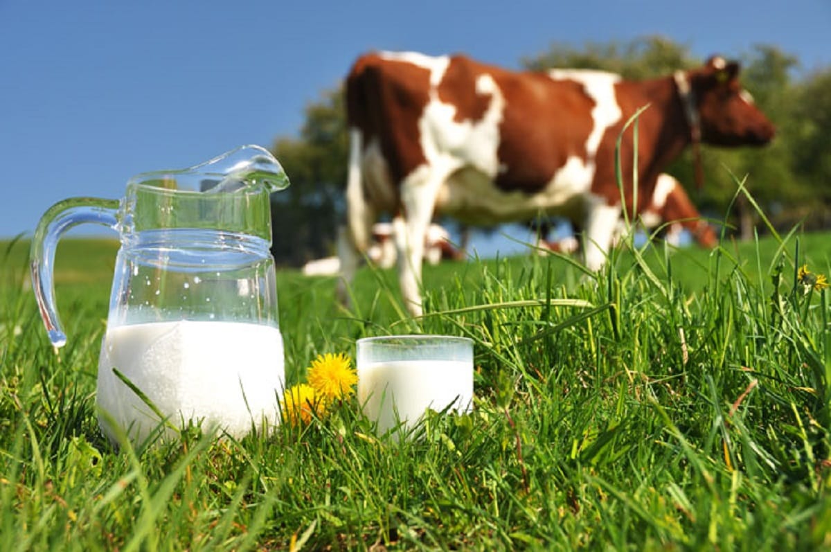 Venezuela in economic crisis one liter milk sold in 80 thousand