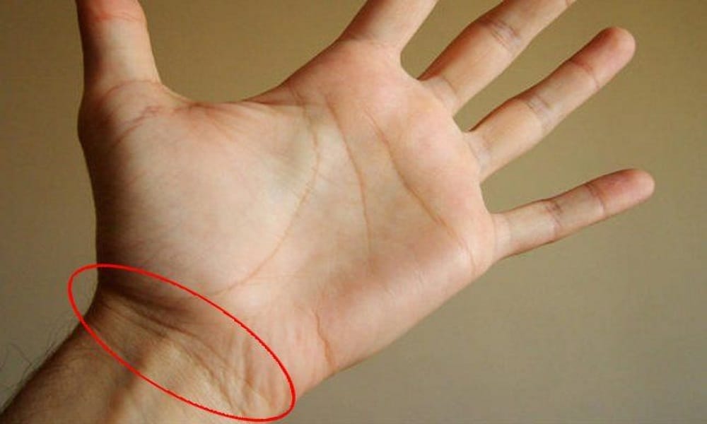 auspicious signs in your palm
