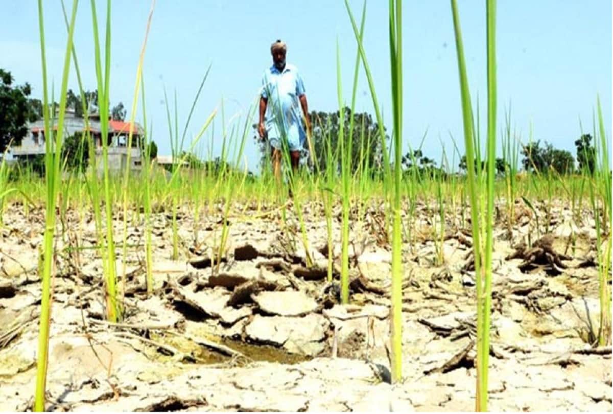 government can take these steps for farmers in full budget 2019