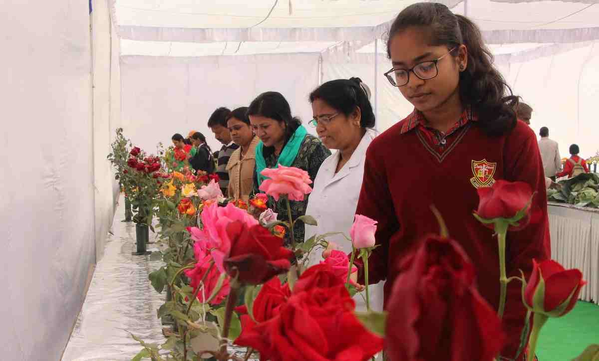 Flower and vegetable exhibition start in DLW