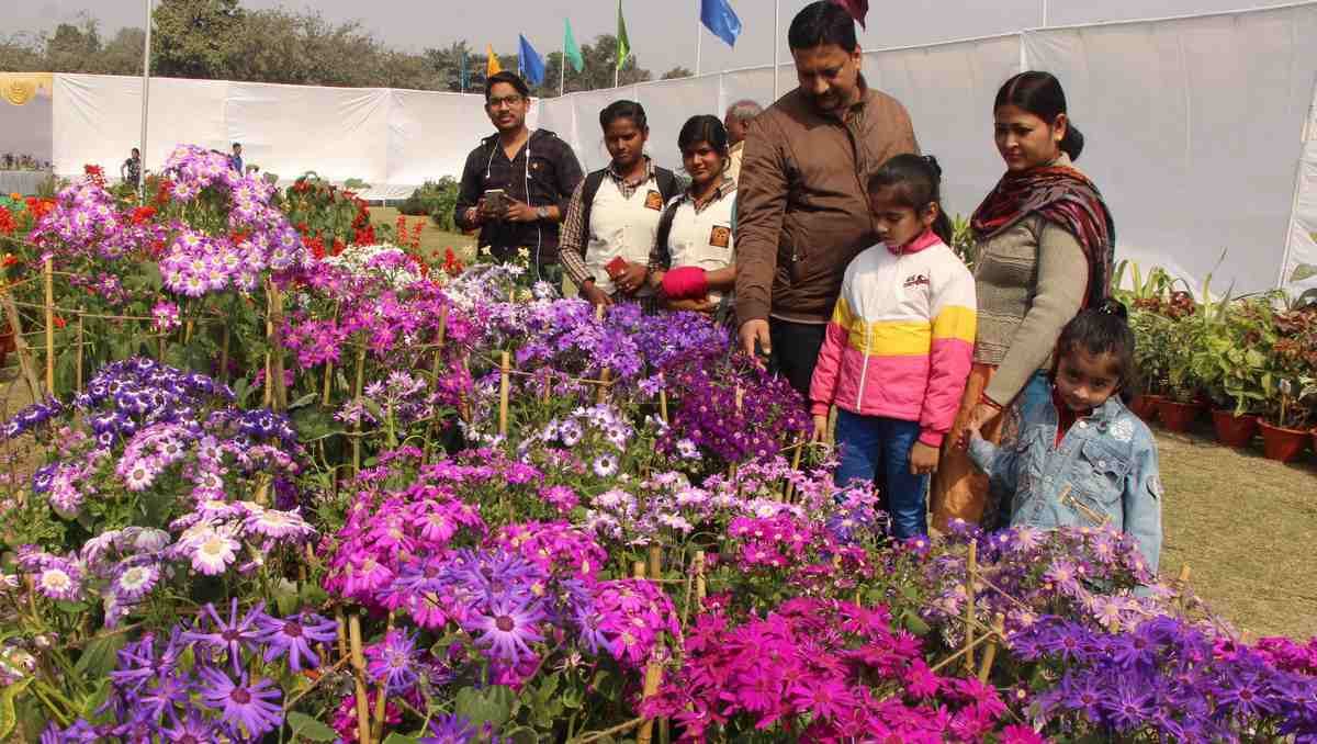 Flower and vegetable exhibition start in DLW
