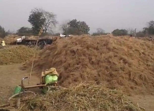 forest officials comes in alert mode after Menaka's class