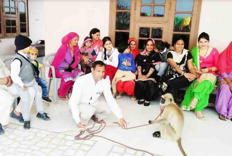 unique marriage, baboon given in dowry, case filed against groom