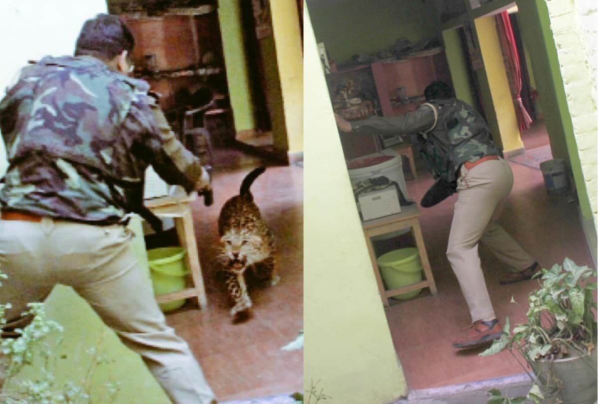 SHO shot leopard in lucknow