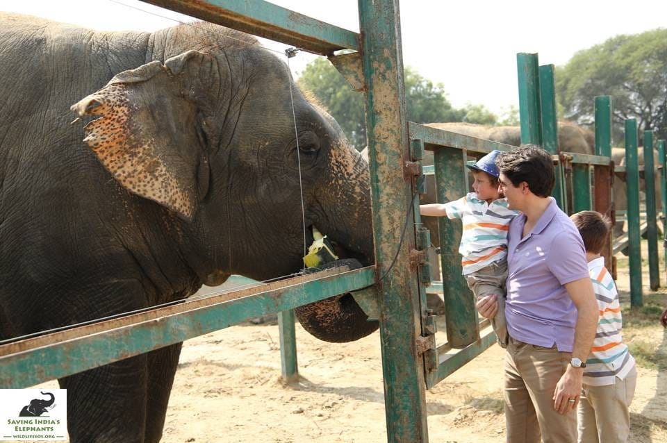 agra after seeing the taj mahal prime minister of Canada went to the elephant conservation center 