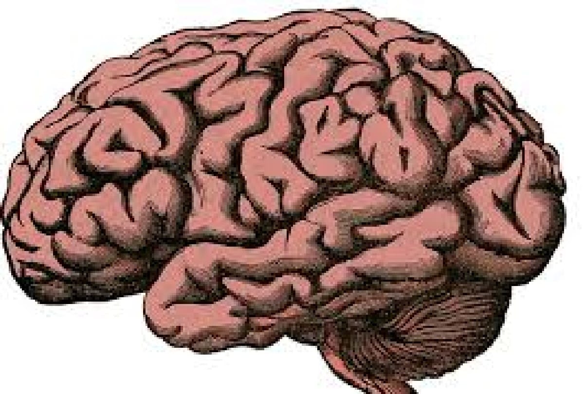 according to research pokemon affected our mind
