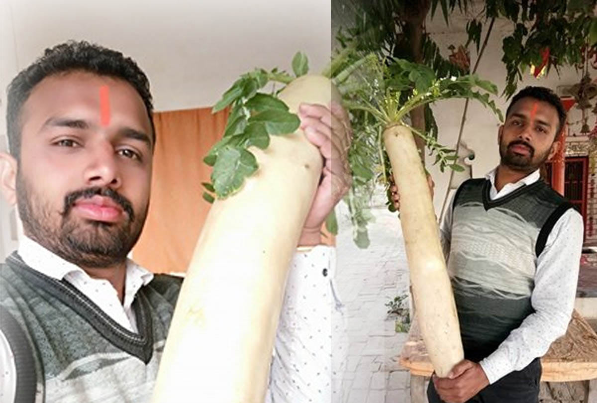 strange ten kilos of radish
