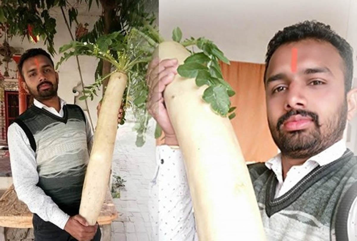 strange ten kilos of radish