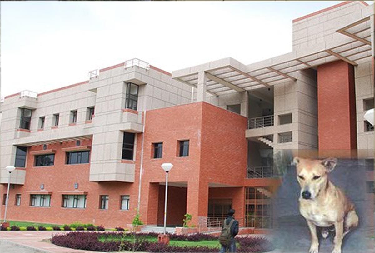 case filed Against animal cruelty act in iit kanpur